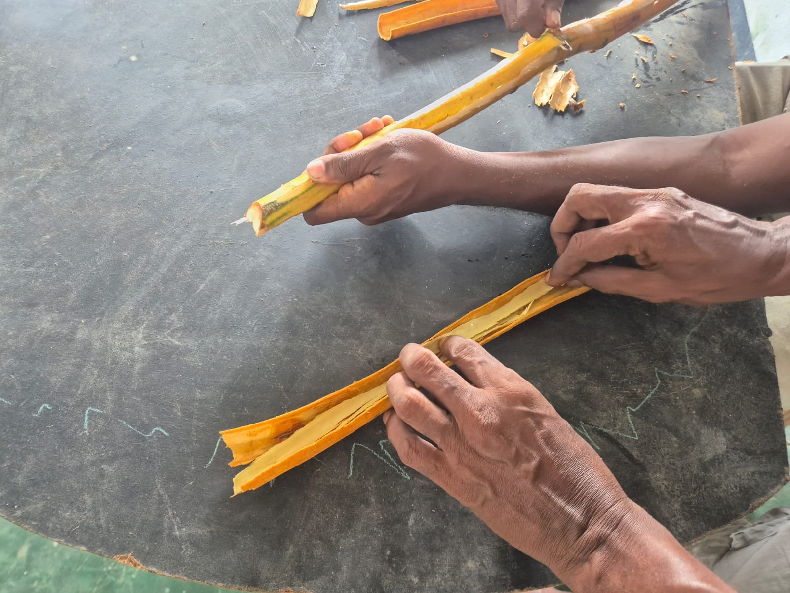 Canela hecha a mano — manos de un maestro canelero